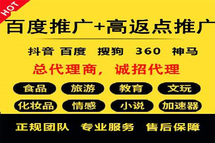 竞价排名在电商行业的实战案例